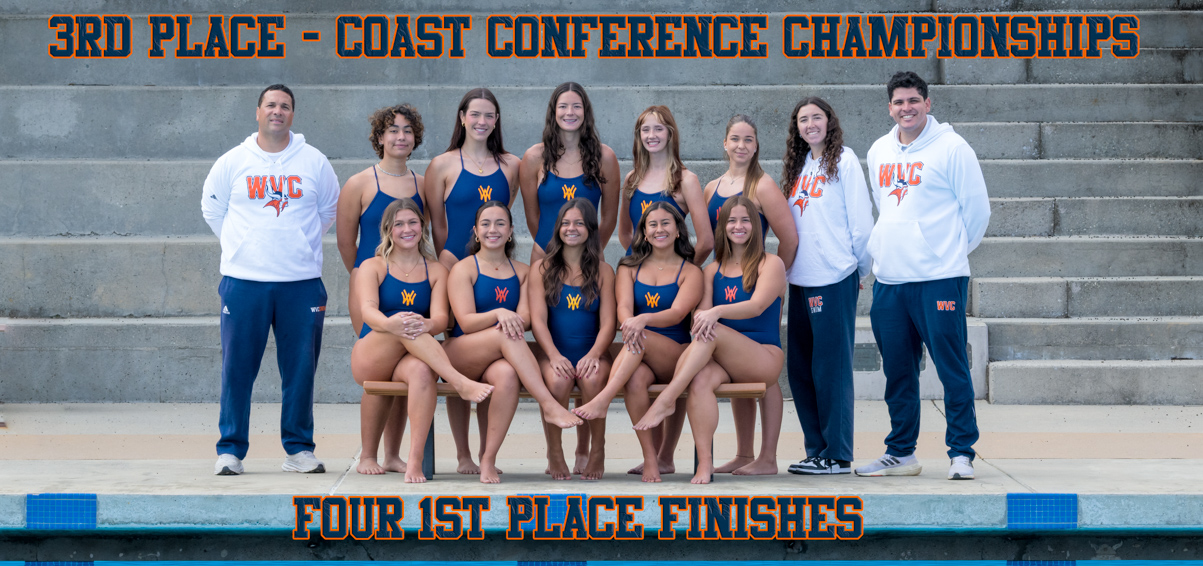 Vikings take 3rd in Coast, send large group to state meet